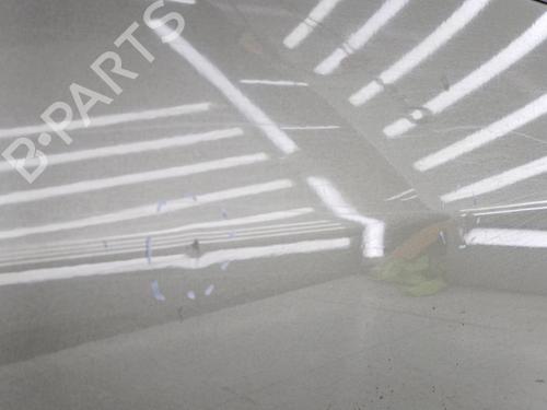 Right front door FIAT GRANDE PUNTO (199_) 1.3 D Multijet | BP23721006C3 