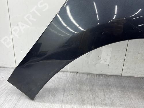 Right front fenders RENAULT SCÉNIC III (JZ0/1_) 1.9 dCi (JZ0J, JZ1J, JZ1K, JZ1S) | BP25249467C42 