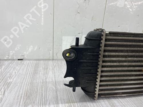 Intercooler RENAULT TRAFIC II Van (FL) 1.9 dCi 80 (FL0B) | BP37717369M30 - Image 6
