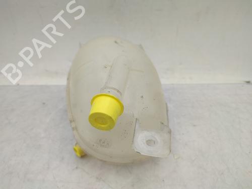 Expansion tank DACIA SANDERO II 1.5 Blue dCi 95 (B8JL) | BP29208505C120 