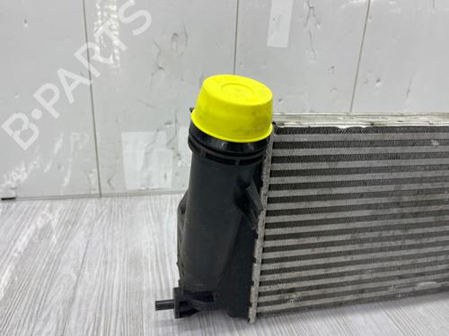 Intercooler RENAULT KADJAR (HA_, HL_) 1.5 dCi 110 (HLA3) | BP37717317M30  - Image 7