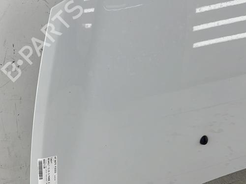 Hood RENAULT CLIO III (BR0/1, CR0/1) 1.5 dCi | BP23760506C1 