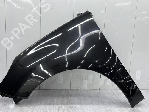 Used Left front fenders RENAULT SCÉNIC III (JZ0/1_) 1.9 dCi (JZ0J, JZ1J, JZ1K, JZ1S) (131 hp) 28325692