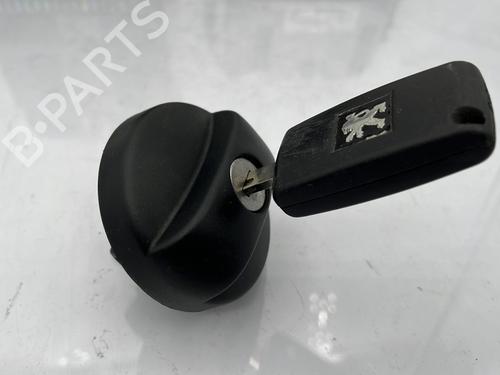 Used Electronic module Electronic module PEUGEOT 207 (WA_, WC_) 1.6 HDi (90 hp) 25001198 25001198