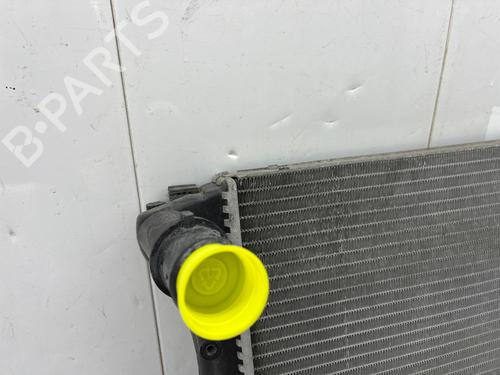 Water radiator FIAT PANDA (169_) 1.3 D Multijet (169.AXC1A) | BP34000391M31 - Image 5