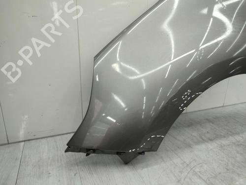 Left front fenders RENAULT SCÉNIC III (JZ0/1_) 1.9 dCi (JZ0J, JZ1J, JZ1K, JZ1S) | BP23706883C41 