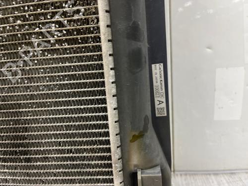 Used Water radiator Water radiator NISSAN MURANO II (Z51) 2.5 dCi 4x4 (190 hp) 40594986 40594986