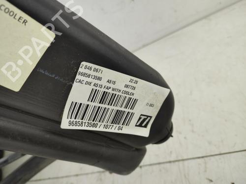 Fuel tank CITROËN C3 II (SC_) 1.6 HDi | BP31712169C62 