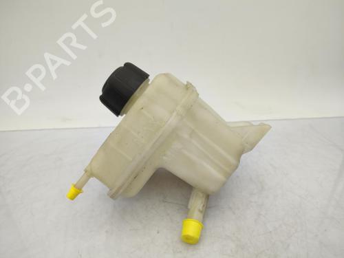 Expansion tank NISSAN QASHQAI I (J10, NJ10) 1.5 dCi | BP23710894C120