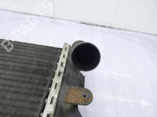 Used Water radiator Water radiator RENAULT CLIO II (BB_, CB_) 1.2 (BB0A, BB0F, BB10, BB1K, BB28, BB2D, BB2H, CB0A,... (58 hp) 23701215 23701215