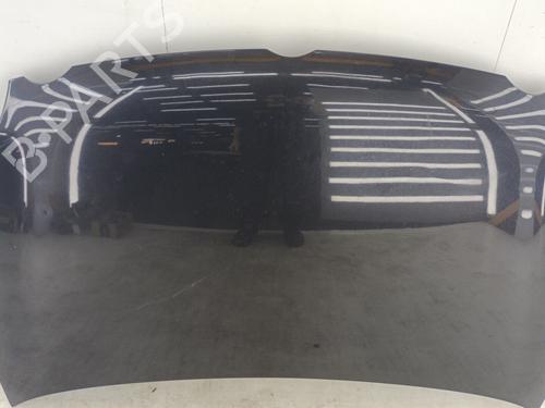 Hood VW POLO IV (9N_, 9A_) 1.4 TDI | BP23738893C1 