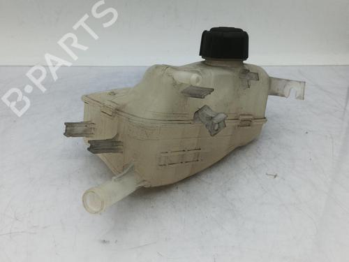 Expansion tank RENAULT SCÉNIC III (JZ0/1_) 1.9 dCi (JZ0J, JZ1J, JZ1K, JZ1S) | BP23712337C120