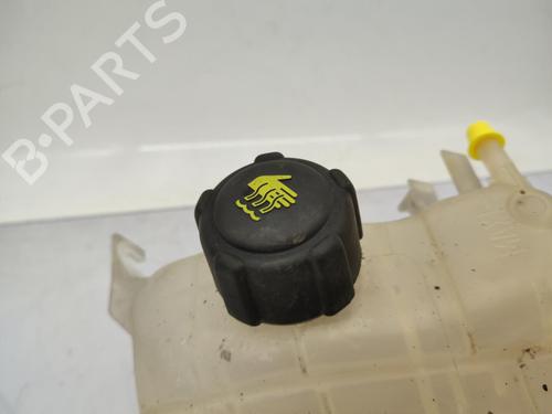 Expansion tank RENAULT MEGANE III Grandtour (KZ0/1) 1.5 dCi (KZ0C, KZ1A) | BP23719361C120 