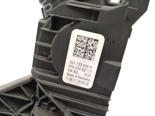 Pedal VW GOLF VII (5G1, BQ1, BE1, BE2) 1.6 TDI | BP23722891I4 
