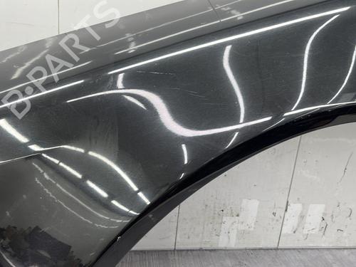 Błotnik przedni lewy VW PHAETON (3D1, 3D2, 3D3, 3D4, 3D6, 3D7, 3D8, 3D9) 3.0 V6 TDI 4motion | BP29512704C41 