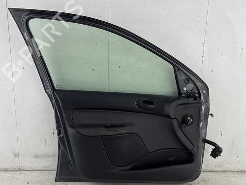 Left front door PEUGEOT 206+ (2L_, 2M_) 1.4 i | BP26580855C2 