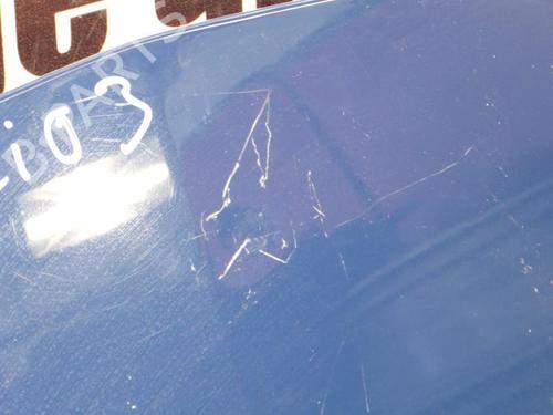 Used Hood RENAULT CLIO III (BR0/1, CR0/1) 1.2 16V (BR02, BR0J, BR11, CR02, CR0J, CR11) (75 hp) 23669689