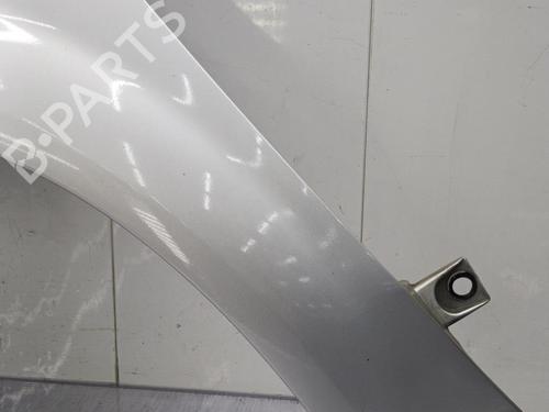 Used Left front fenders RENAULT SCÉNIC II (JM0/1_) 2.0 dCi (JM1K) (150 hp) 23720406