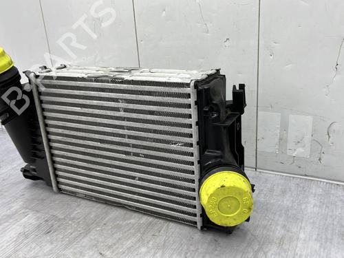 Used Intercooler Intercooler RENAULT SCÉNIC IV (J9_) 1.3 TCe 140 (140 hp) 24917866 24917866