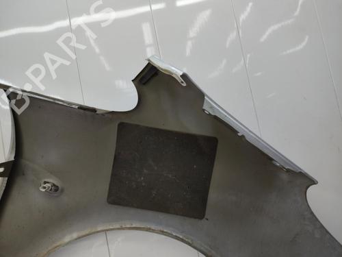 Left front fenders CITROËN XSARA PICASSO (N68) 2.0 HDi | BP23719070C41 