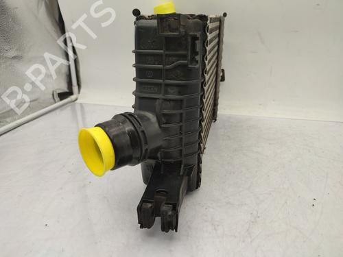 Intercooler RENAULT CLIO IV (BH_) 1.5 dCi 75 | BP28614017M30 