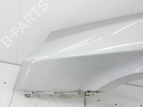 Left front fenders RENAULT VEL SATIS (BJ0_) 2.0 dCi (BJ03) | BP23701350C41 