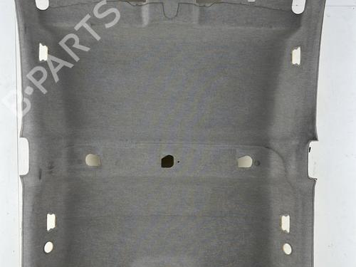 Used Interior roof RENAULT KANGOO / GRAND KANGOO II (KW0/1_) 1.5 dCi 90 (KW05, KW08, KW0G, KW11) (90 hp) 30730990