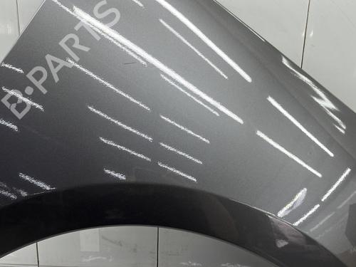Right front fenders RENAULT SCÉNIC III (JZ0/1_) 1.5 dCi | BP27884117C42 