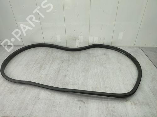 Rubber door seal RENAULT MEGANE IV Hatchback (B9A/M/N_) 1.5 dCi 110 (B9A3) | BP25006479C142 
