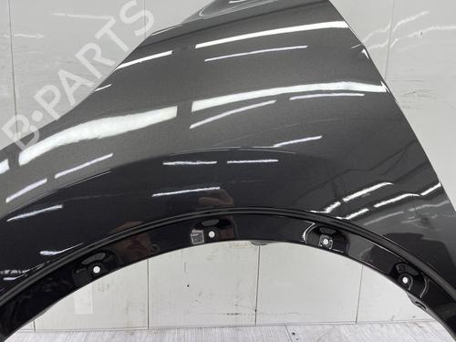 Guarda-lamas esquerdo Guarda-lamas esquerdo NISSAN QASHQAI II (J11, J11_) 1.6 DIG-T (163 hp) 35978919 35978919
