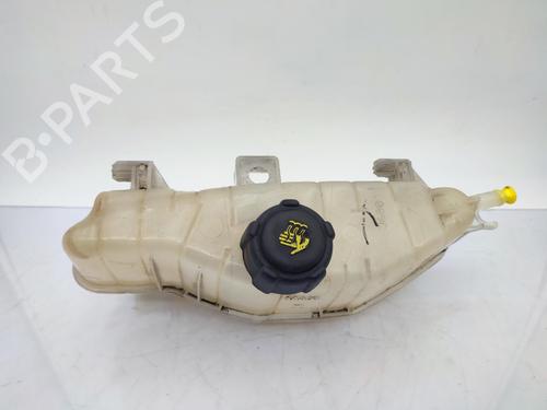 Used Expansion tank RENAULT CLIO III (BR0/1, CR0/1) 1.5 dCi (C/BR0G, C/BR1G) (68 hp) 23710254
