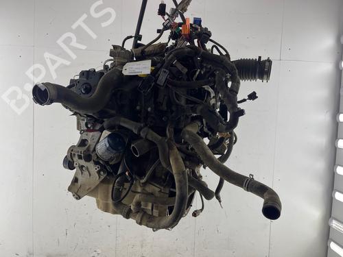 Engine RENAULT KANGOO Express (FW0/1_) | BP36372549M1 - Image 5