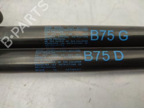 Tailgate lift support CITROËN DS4 (NX_) 1.6 HDi 115 | BP25346539C138 