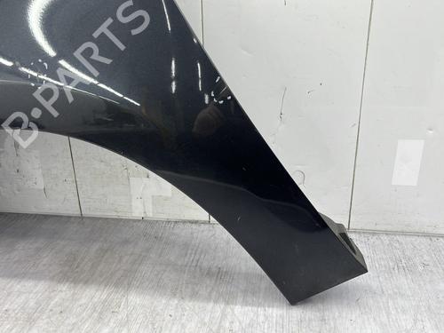 Left front fenders RENAULT SCÉNIC III (JZ0/1_) 1.9 dCi (JZ0J, JZ1J, JZ1K, JZ1S) | BP25279688C41 