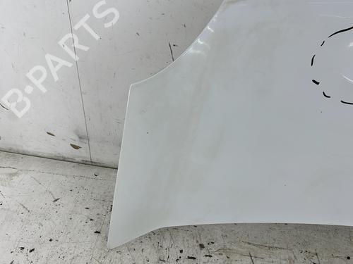Hood RENAULT KANGOO / GRAND KANGOO II (KW0/1_) 1.5 dCi 90 (KW05, KW08, KW0G, KW11) | BP28304381C1
