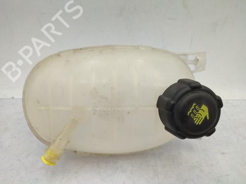 Expansion tank DACIA SANDERO II 1.5 Blue dCi 95 (B8JL) | BP29208505C120 