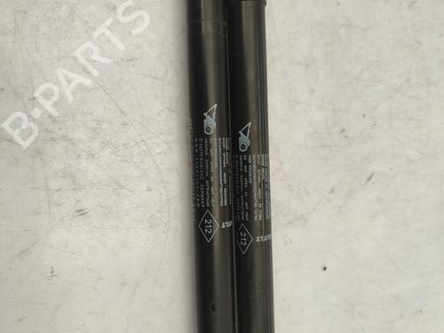 Tailgate lift support DACIA DUSTER (HS_) 1.5 dCi | BP25031193C138 