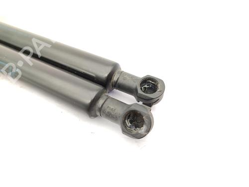Hood lift support BMW 3 (E46) 320 d | BP23731177C139