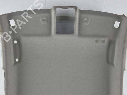 Interiør taket RENAULT CLIO V (B7_) 1.5 Blue dCi 85 (B7AG) | BP30731016I12