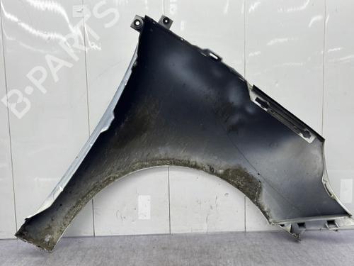 Left front fenders RENAULT SCÉNIC III (JZ0/1_) 1.5 dCi | BP23756535C41 