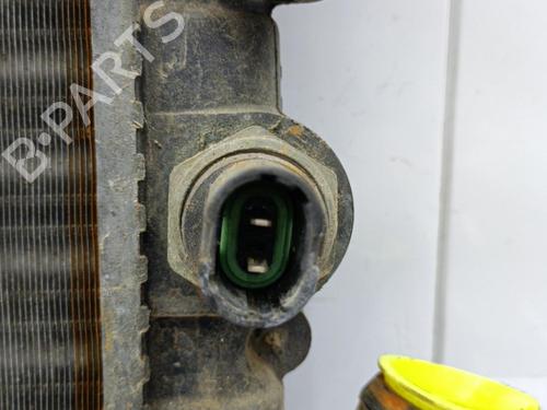 Used Water radiator Water radiator RENAULT RAPID Box Body/MPV (F40_, G40_) 1.2 (54 hp) 23706611 23706611