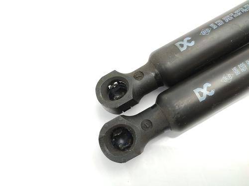 hood-lift-support-renault-kangoo-express-fw01_-2008-23759926 main image