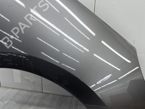 Right front fenders RENAULT SCÉNIC III (JZ0/1_) 1.5 dCi | BP27884117C42 