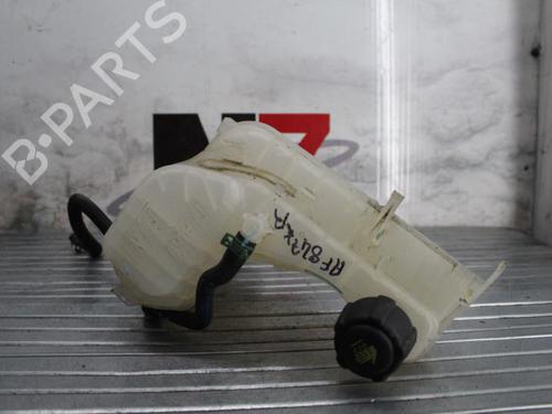 Used Expansion tank RENAULT LAGUNA III (BT0/1) 2.0 dCi (BT01, BT08, BT09, BT0E, BT0K, BT12, BT1C, BT1D,... (150 hp) 23692504