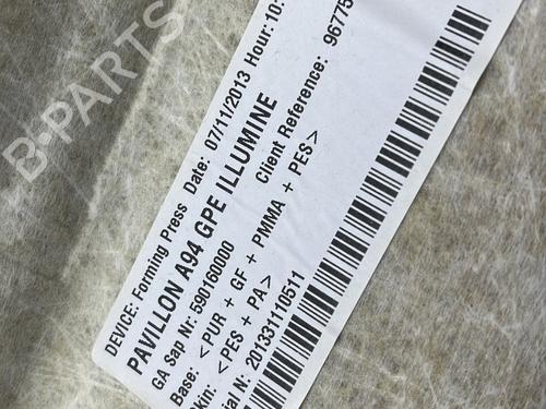 Interior roof PEUGEOT 2008 I (CU_) 1.6 HDi | BP30751029I12