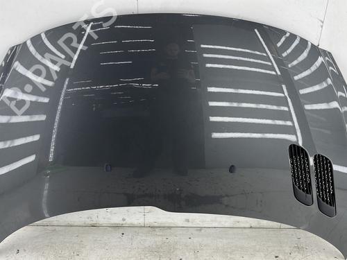 Used Hood PEUGEOT 206+ (2L_, 2M_) 1.4 i (73 hp) 26579181