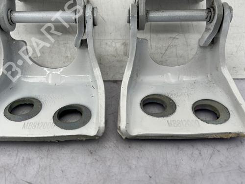 hingedoor-check-strap-dacia-spring-2020-23758094 main image