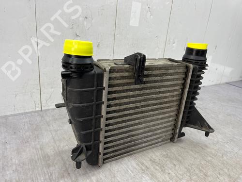 Intercooler RENAULT CLIO III (BR0/1, CR0/1) 1.5 dCi (BR0H, CR0H, CR1S, BR1S) | BP35890211M30 - Image 6