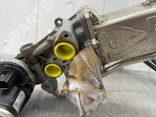 Egr Egr VW POLO V (6R1, 6C1) 1.6 TDI (90 hp) 36762116 36762116