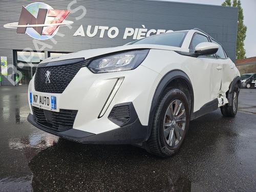 Pipe PEUGEOT 2008 II (UD_, US_, UY_, UJ_, UR_, UC_) 1.5 BlueHDI 130 | BP28690462M125 